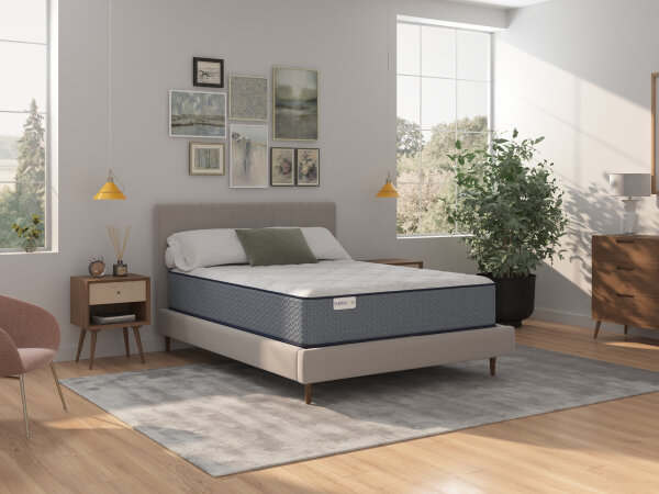 vista xxv soft tt