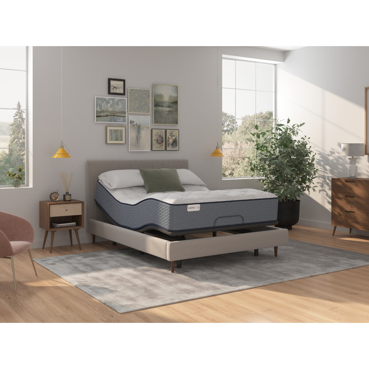 vista xxv soft tt