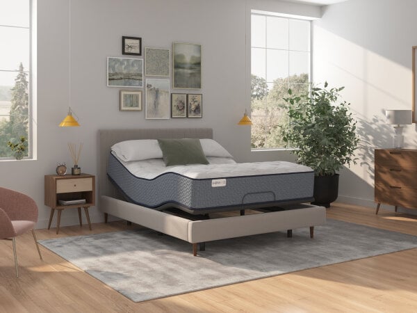 vista xxv soft tt