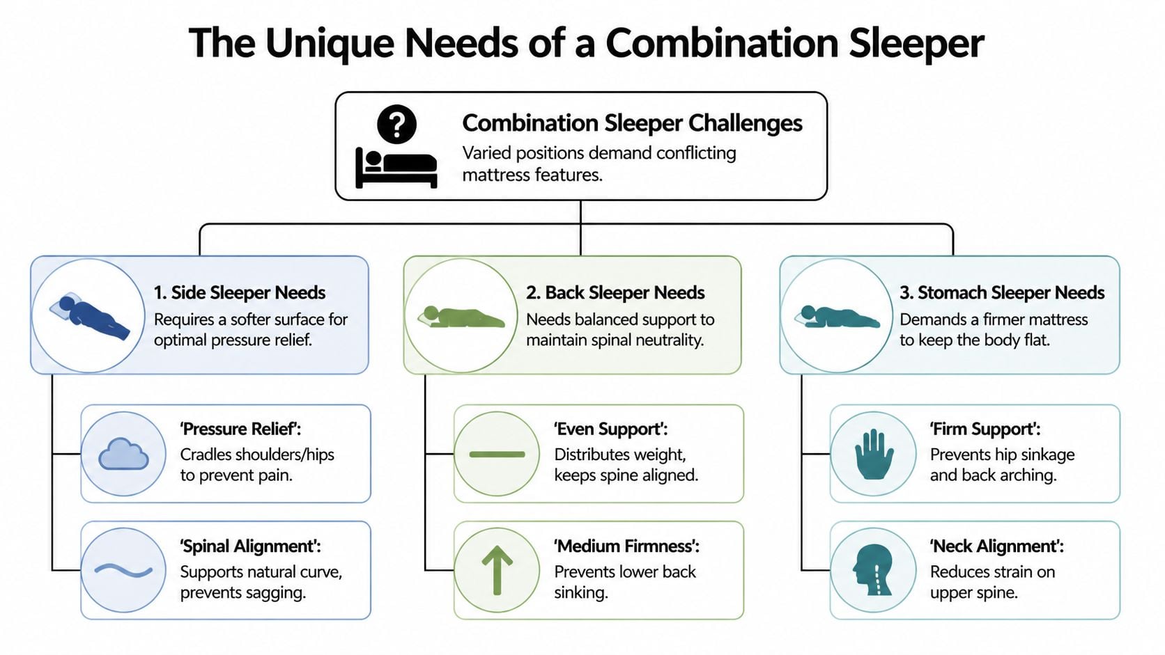 A diagram explaining the mattress needs for combination sleepers, covering side, back, and stomach sleeping positions.