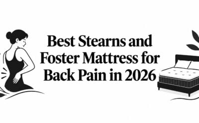 best stearns and foster mattress for back pain mattress illustration